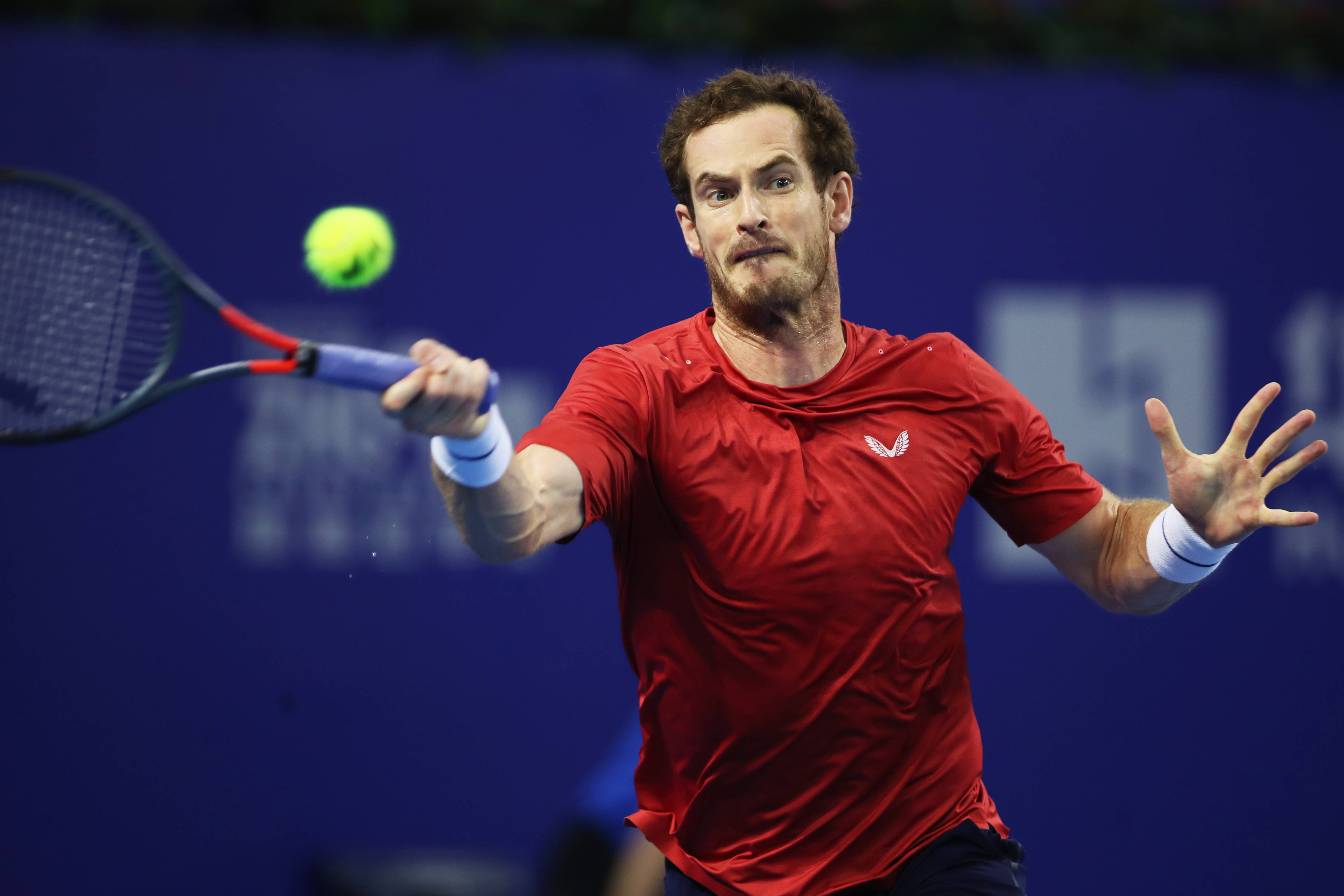 KAIYUN-穆雷回归赛场，精彩发挥首场状态亮眼，澳大利亚队观众沸腾！的简单介绍